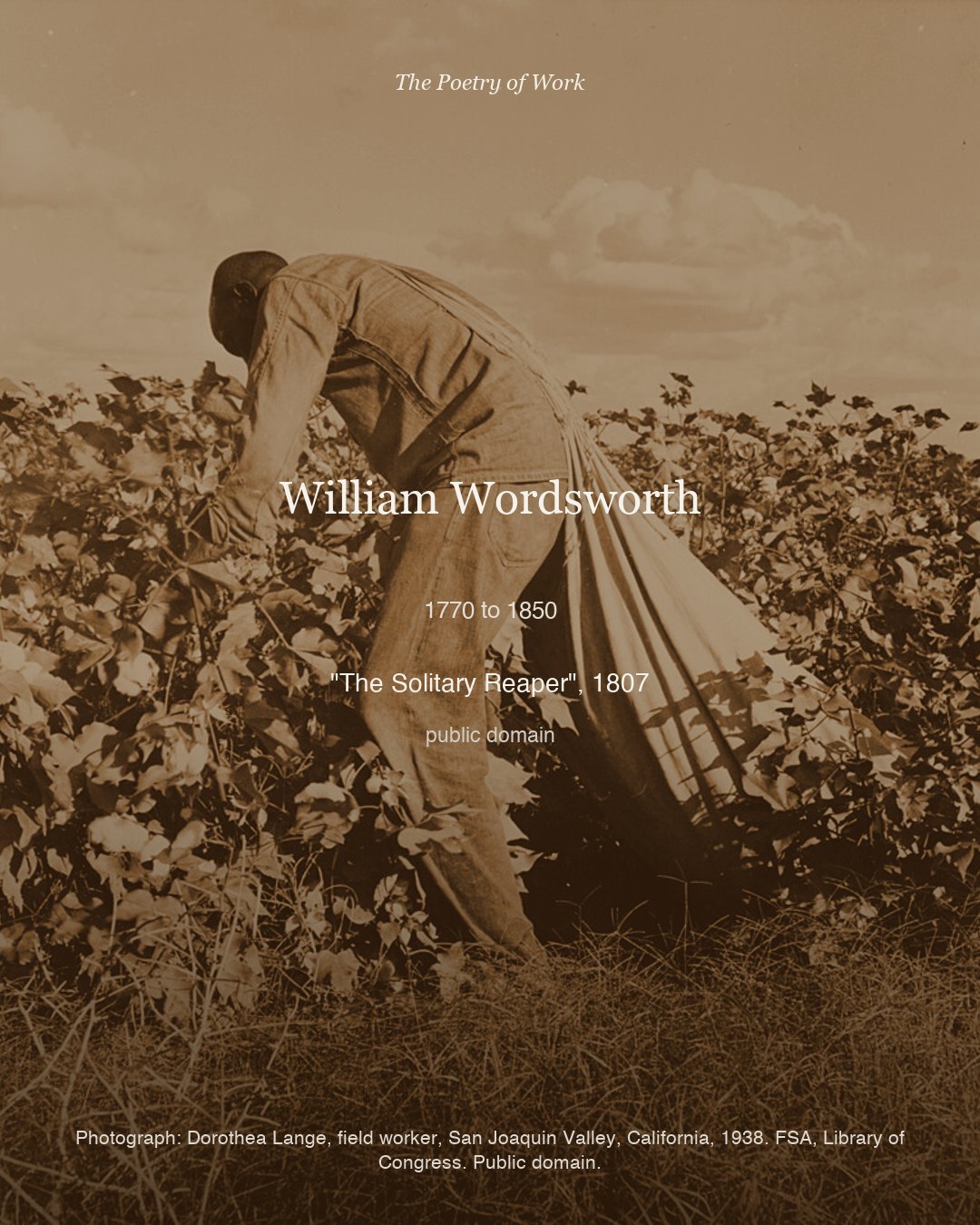 William Wordsworth, The Solitary Reaper, card 3 of 3